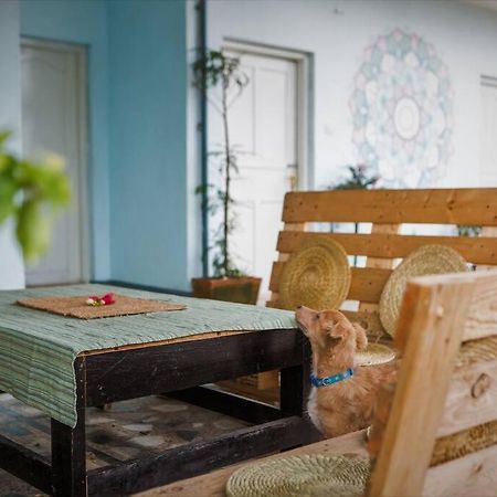 קטמנדו Ananda Tree House Eco Homestay מראה חיצוני תמונה